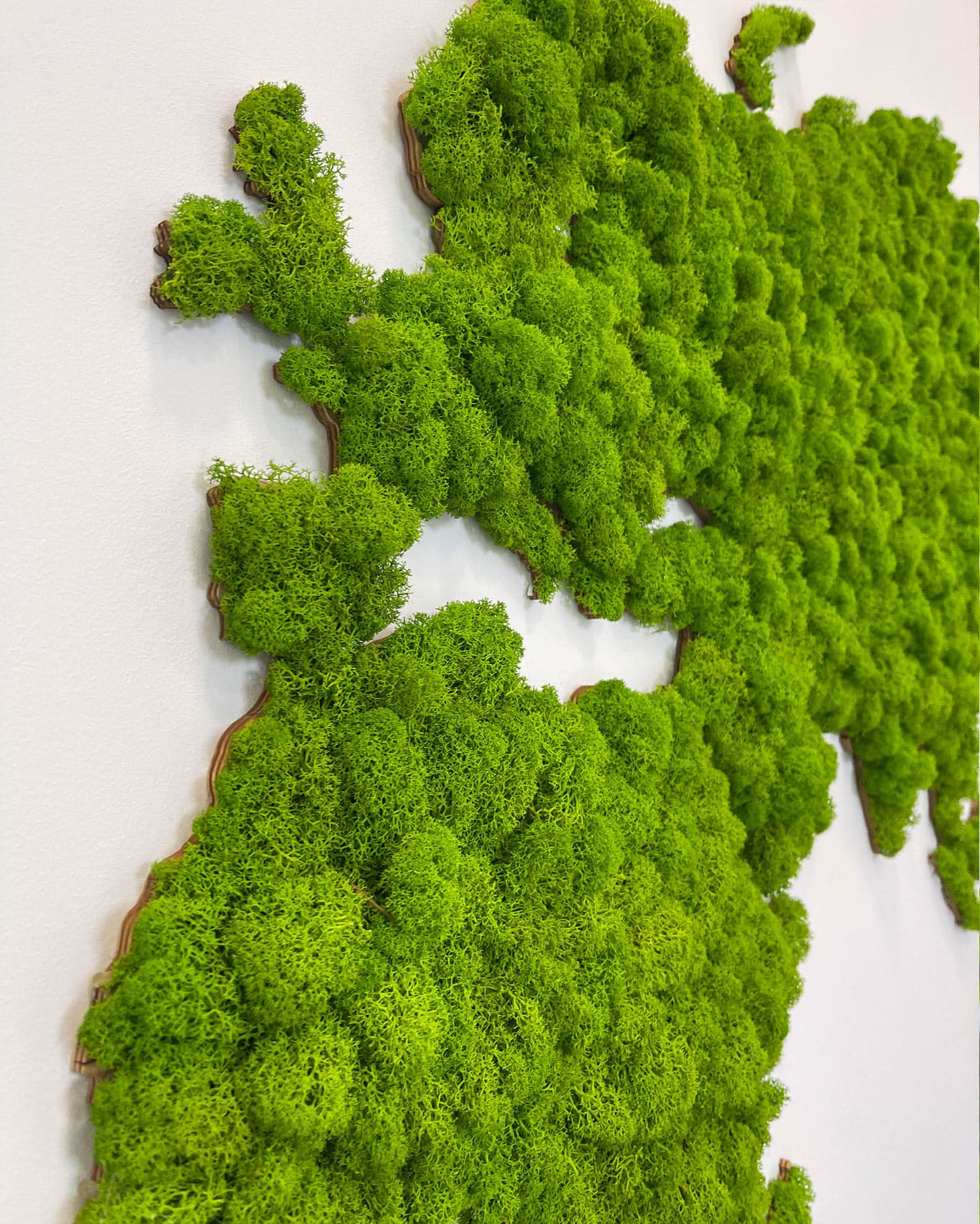 Mapa świata z Mchu Chrobotka Sikorka® Zielona mapa, obraz z mchu - 180x90cm